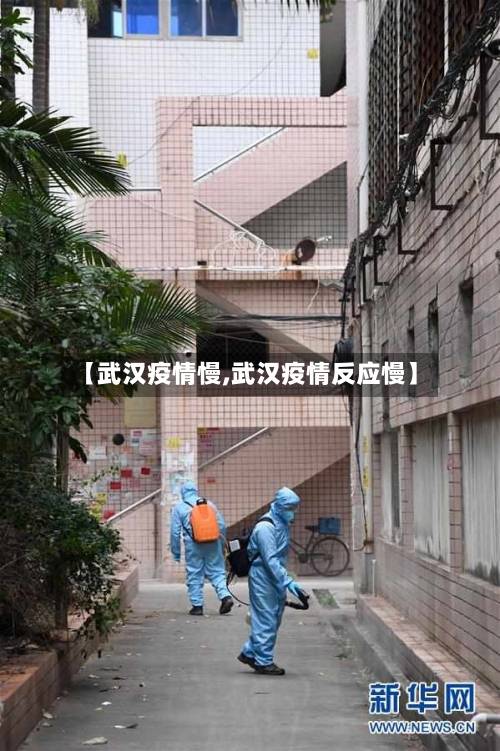 【武汉疫情慢,武汉疫情反应慢】