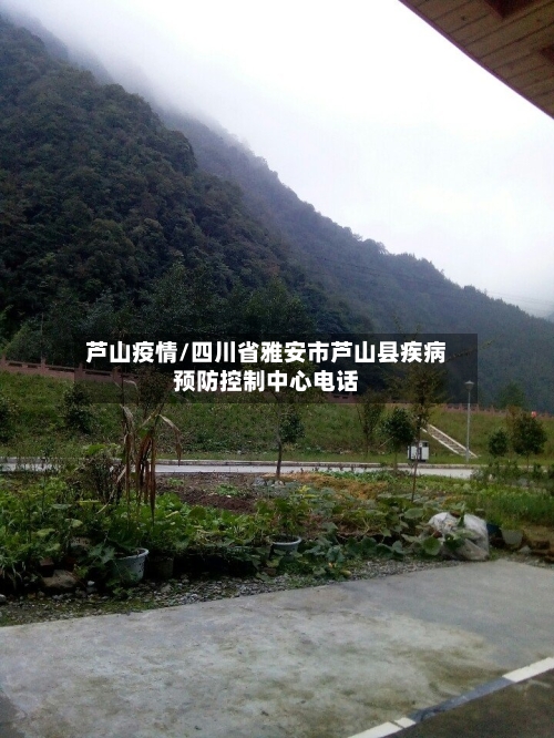 芦山疫情/四川省雅安市芦山县疾病预防控制中心电话