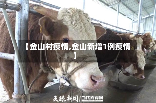 【金山村疫情,金山新增1例疫情】