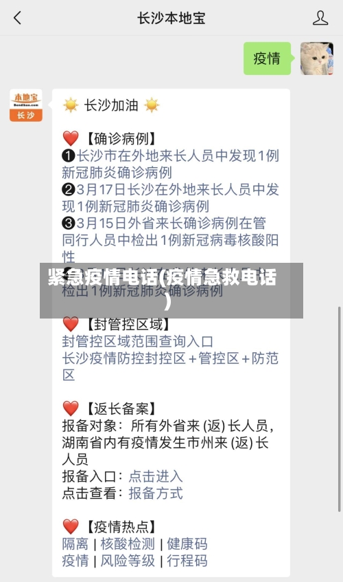 紧急疫情电话(疫情急救电话)-第2张图片