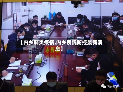 【内乡肺炎疫情,内乡疫情防控最新消息】-第2张图片