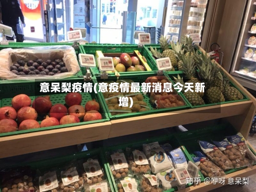 意呆梨疫情(意疫情最新消息今天新增)-第2张图片