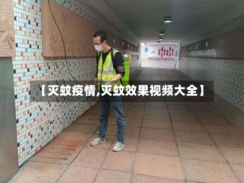 【灭蚊疫情,灭蚊效果视频大全】-第2张图片