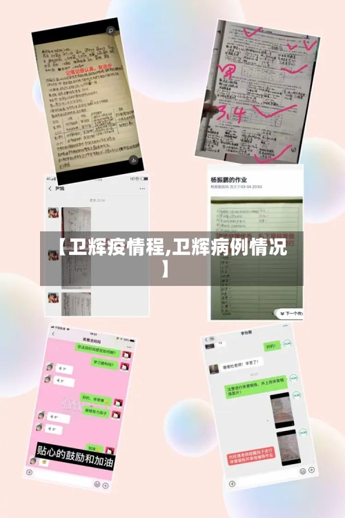 【卫辉疫情程,卫辉病例情况】-第2张图片