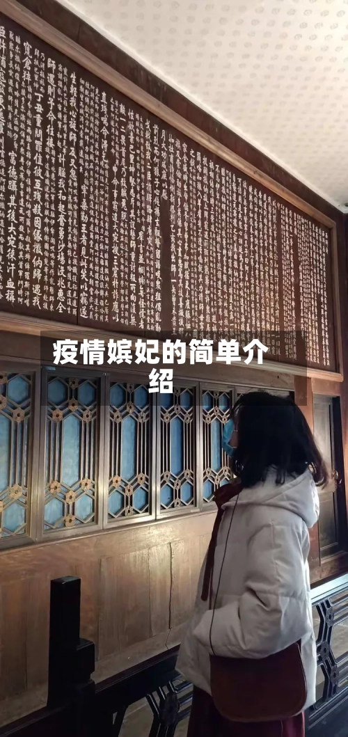 疫情嫔妃的简单介绍
