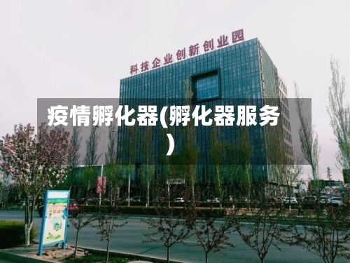 疫情孵化器(孵化器服务)-第3张图片