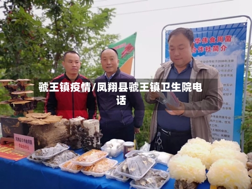 虢王镇疫情/凤翔县虢王镇卫生院电话-第2张图片