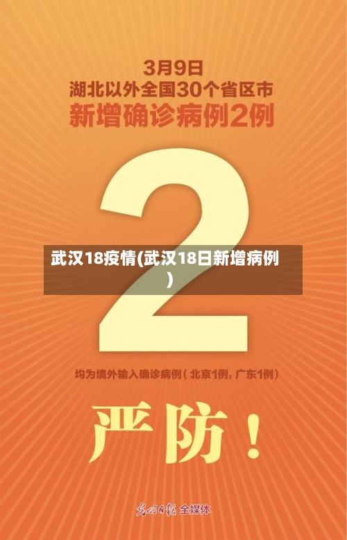 武汉18疫情(武汉18日新增病例)