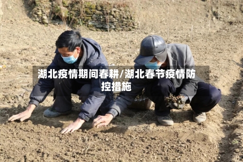 湖北疫情期间春耕/湖北春节疫情防控措施