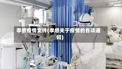 孝感疫情文件(孝感关于疫情的各项通知)