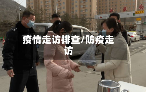 疫情走访排查/防疫走访-第2张图片