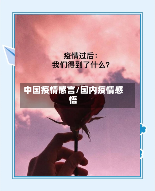 中国疫情感言/国内疫情感悟