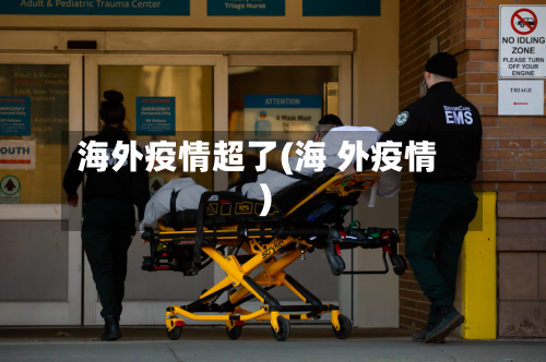 海外疫情超了(海 外疫情)