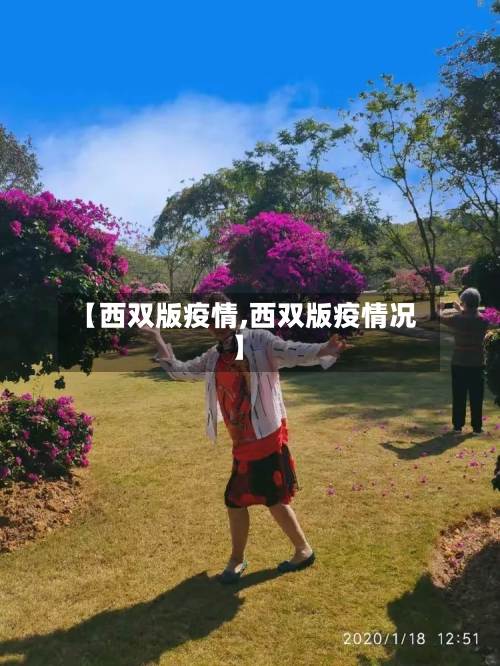 【西双版疫情,西双版疫情况】-第2张图片