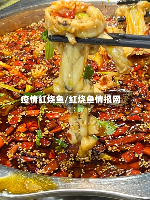 疫情红烧鱼/红烧鱼情报网
