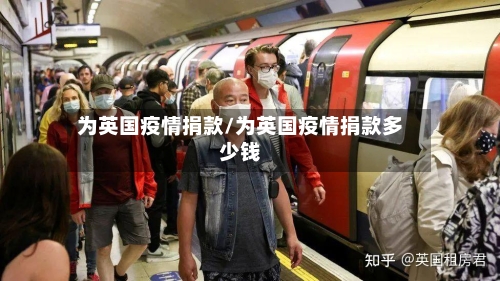 为英国疫情捐款/为英国疫情捐款多少钱-第3张图片