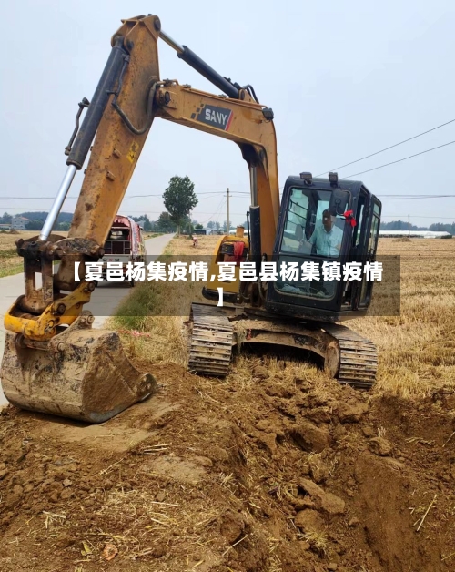 【夏邑杨集疫情,夏邑县杨集镇疫情】-第3张图片