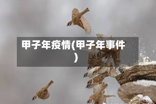 甲子年疫情(甲子年事件)-第3张图片