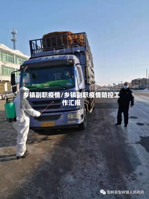 乡镇副职疫情/乡镇副职疫情防控工作汇报-第2张图片