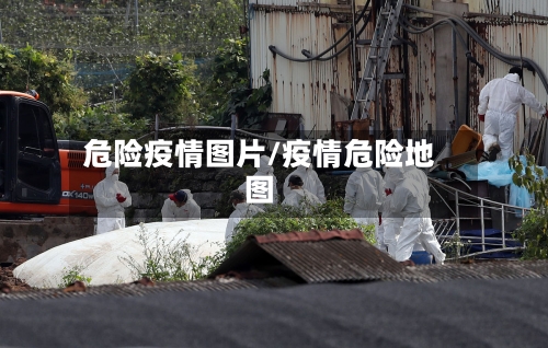 危险疫情图片/疫情危险地图