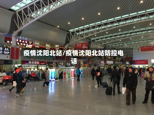 疫情沈阳北站/疫情沈阳北站防控电话-第2张图片