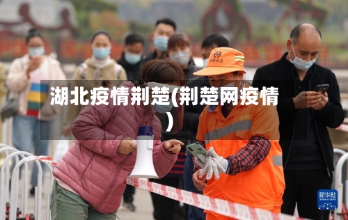 湖北疫情荆楚(荆楚网疫情)
