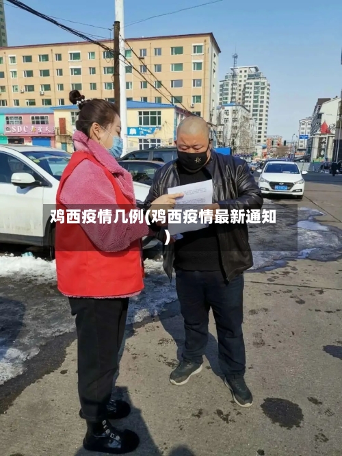 鸡西疫情几例(鸡西疫情最新通知)-第2张图片