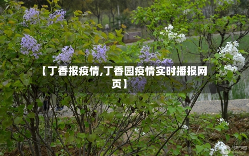 【丁香报疫情,丁香园疫情实时播报网页】