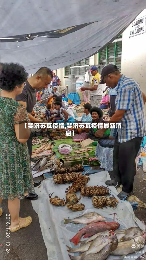 【斐济苏瓦疫情,斐济苏瓦疫情最新消息】-第2张图片