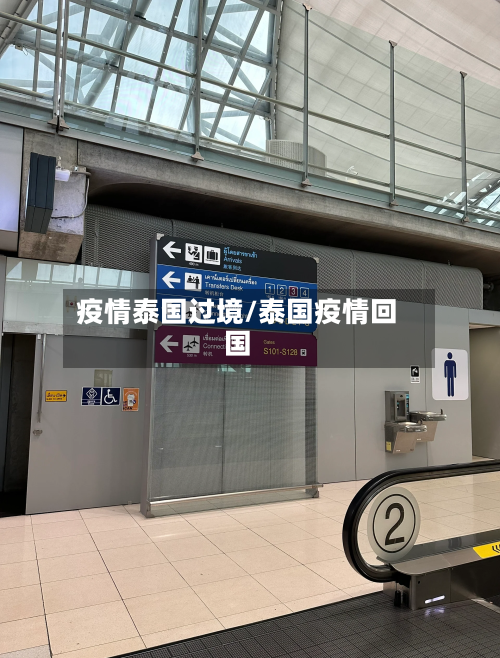 疫情泰国过境/泰国疫情回国-第2张图片