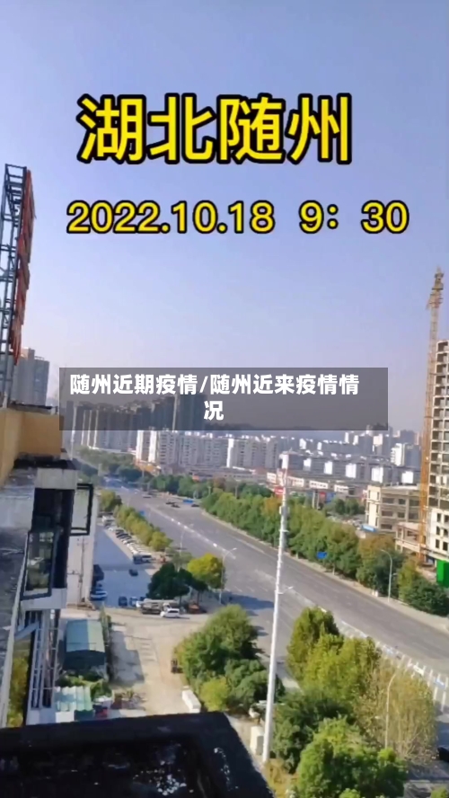 随州近期疫情/随州近来疫情情况