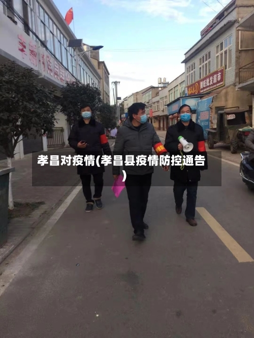 孝昌对疫情(孝昌县疫情防控通告)-第2张图片