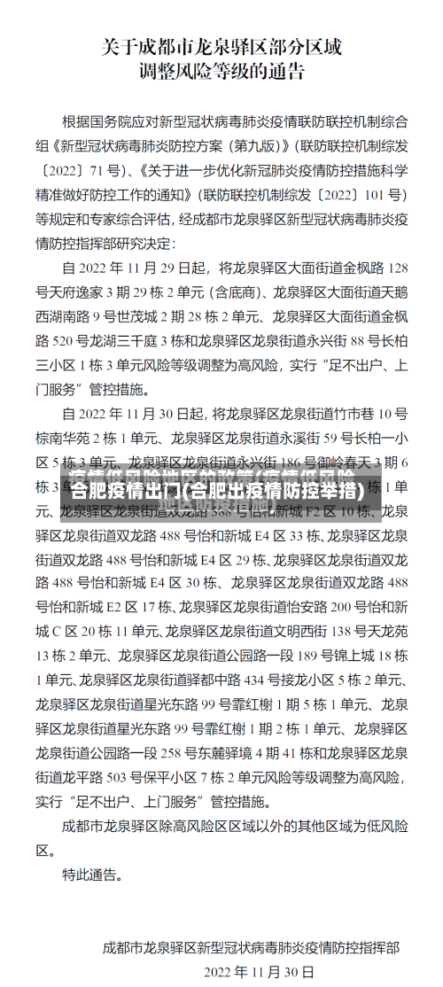 合肥疫情出门(合肥出疫情防控举措)