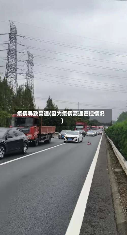 疫情导致高速(因为疫情高速管控情况)