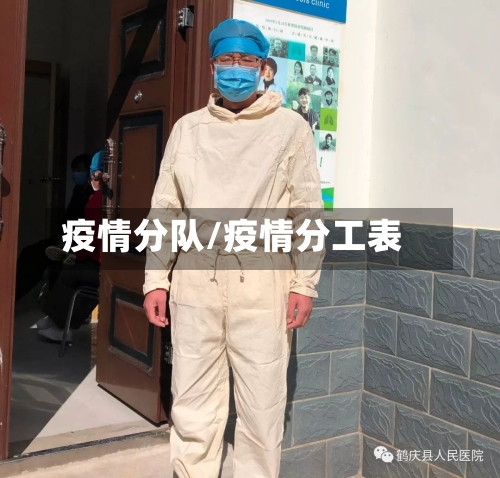 疫情分队/疫情分工表-第2张图片