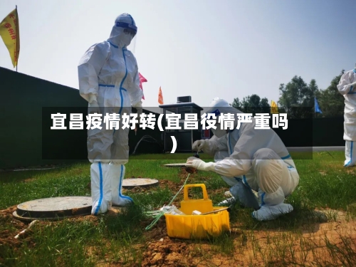 宜昌疫情好转(宜昌役情严重吗)
