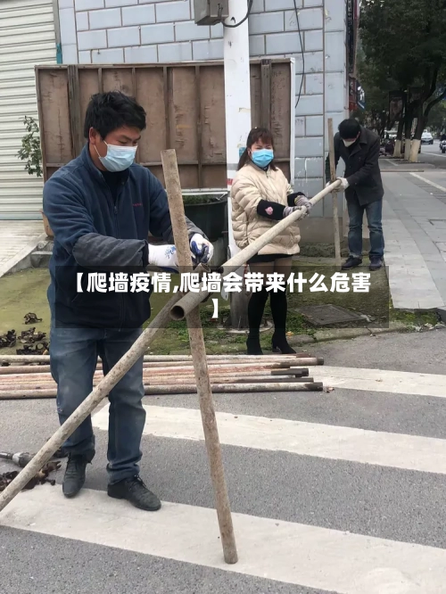 【爬墙疫情,爬墙会带来什么危害】
