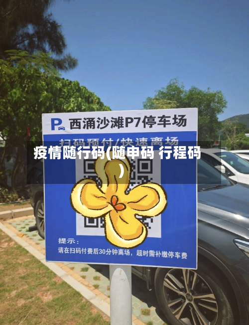疫情随行码(随申码 行程码)-第3张图片