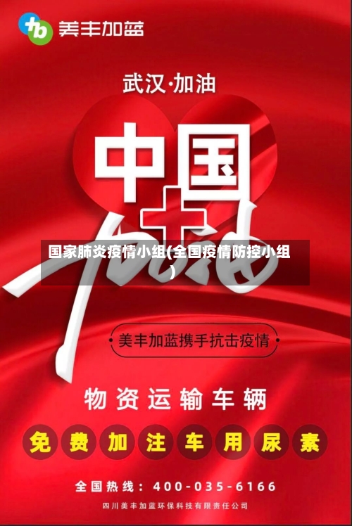 国家肺炎疫情小组(全国疫情防控小组)