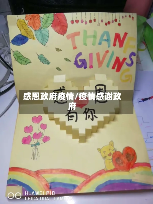 感恩政府疫情/疫情感谢政府-第3张图片