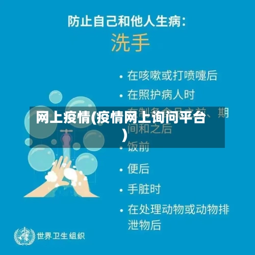 网上疫情(疫情网上询问平台)