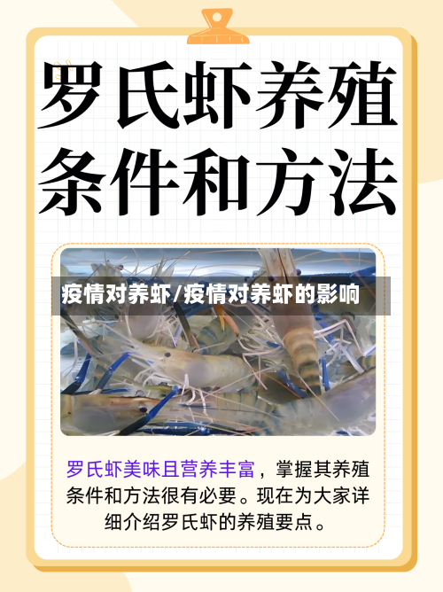 疫情对养虾/疫情对养虾的影响