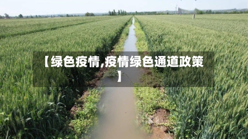 【绿色疫情,疫情绿色通道政策】