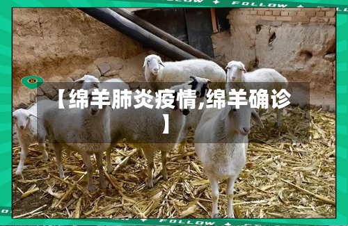 【绵羊肺炎疫情,绵羊确诊】-第3张图片