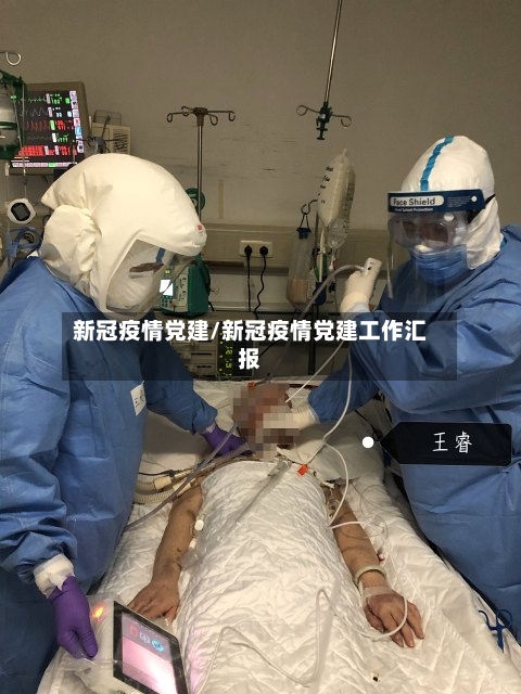 新冠疫情党建/新冠疫情党建工作汇报