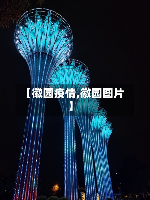 【徽园疫情,徽园图片】-第2张图片