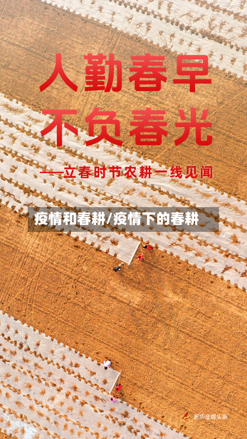 疫情和春耕/疫情下的春耕-第2张图片