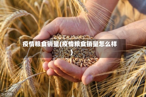 疫情粮食销量(疫情粮食销量怎么样)-第3张图片