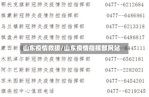 山东疫情救援/山东疫情指挥部网站