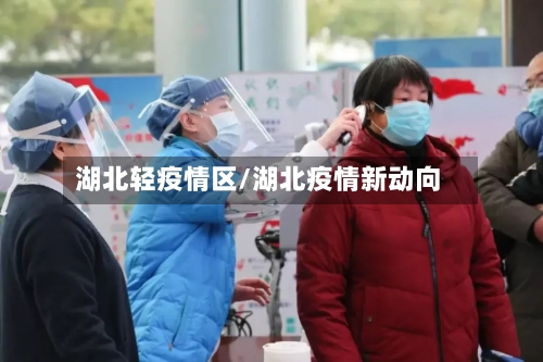 湖北轻疫情区/湖北疫情新动向